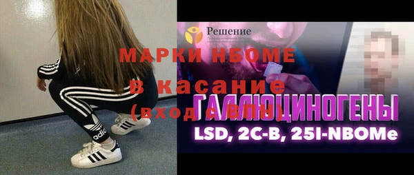стаф Верея