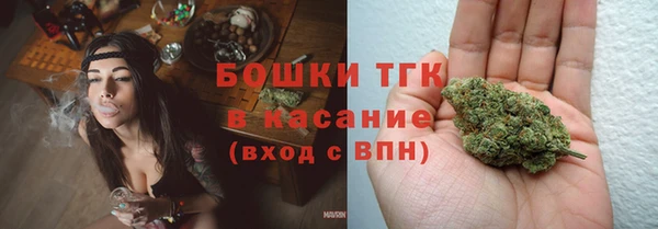 стаф Верея