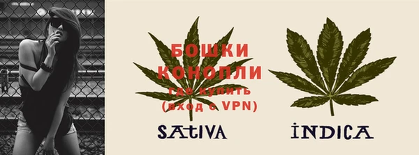 стаф Верея