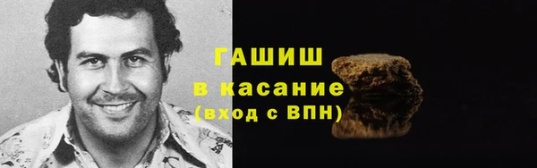 стаф Верея