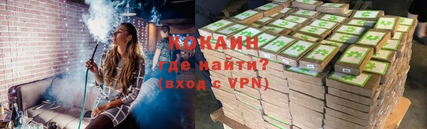 стаф Верея