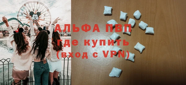 стаф Верея