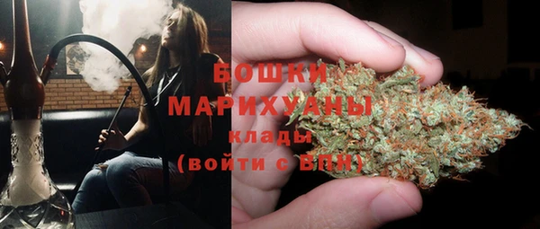стаф Верея