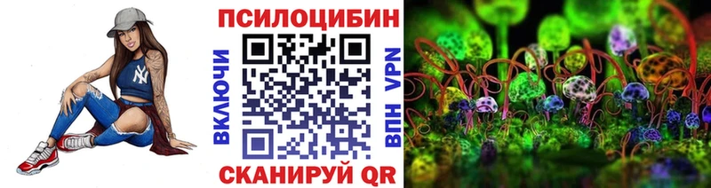 Купить где  Удачный  Галлюциногенные грибы Psilocybe 